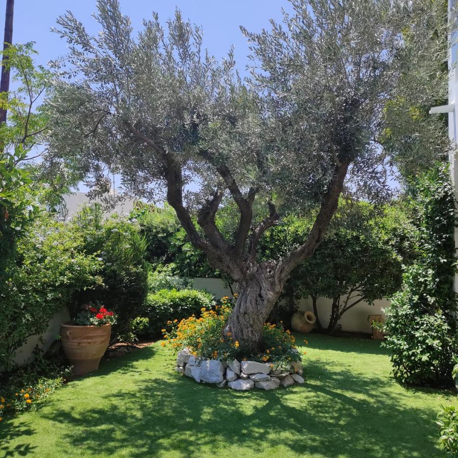 Porto Hydra - Villa Mirani Ermioni Esterno foto
